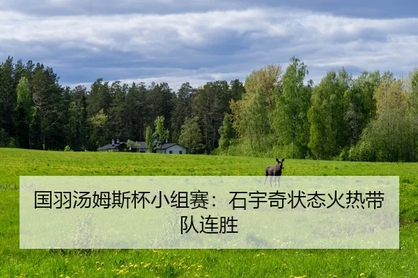 guo-yu-tang-mu-si-bei-xiao-zu-sai-shi-yu-qi-zhuang-tai-huo-re-dai-dui-lian-sheng-2-181.jpg