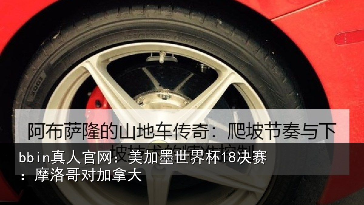bbin真人官网:美加相关情况哥对加拿大