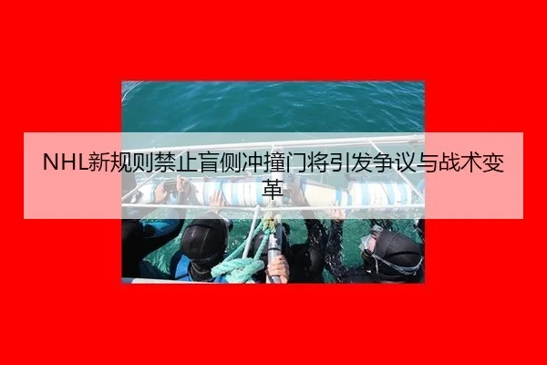 xin-gui-ze-jin-zhi-mang-ce-chong-zhuang-men-jiang-yin-fa-zheng-yi-yu-zhan-shu-bian-ge-2-941.jpg