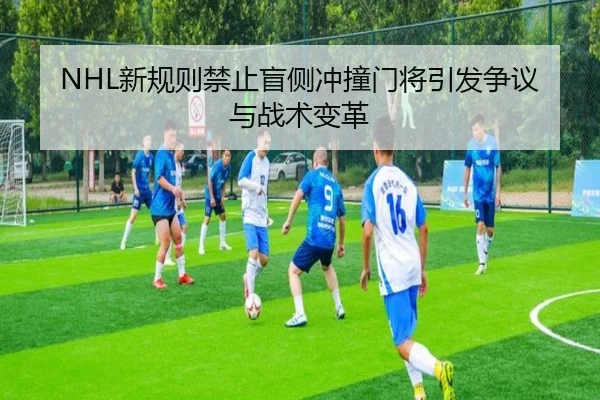 xin-gui-ze-jin-zhi-mang-ce-chong-zhuang-men-jiang-yin-fa-zheng-yi-yu-zhan-shu-bian-ge-3-369.jpg