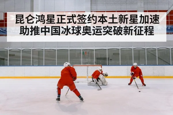 ice hockey rink